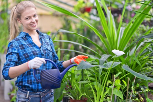 Operative preparing to trim a hedge in a residential street