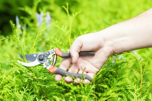 Trained gardener using hedge cutter safely in local Tooting neighbourhood